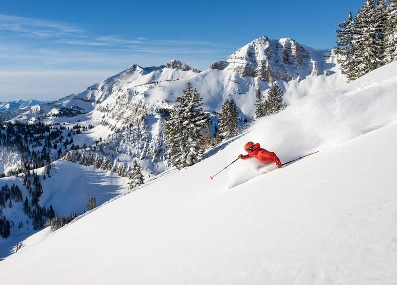 10 Must-Do Experiences On Your Wyoming Bucket List - Decor Hint Ski or Snowboard at Jackson Hole Mountain Resort