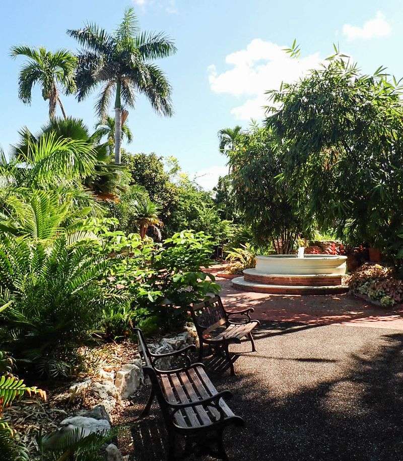 Wander a Quiet Tropical Garden Overlooking the Ocean