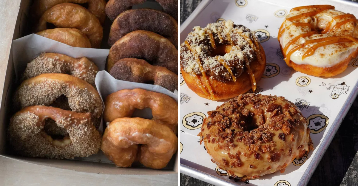 Tasting My Way Through North Carolina Donut Shops These 2 Were Next Level - Decor Hint