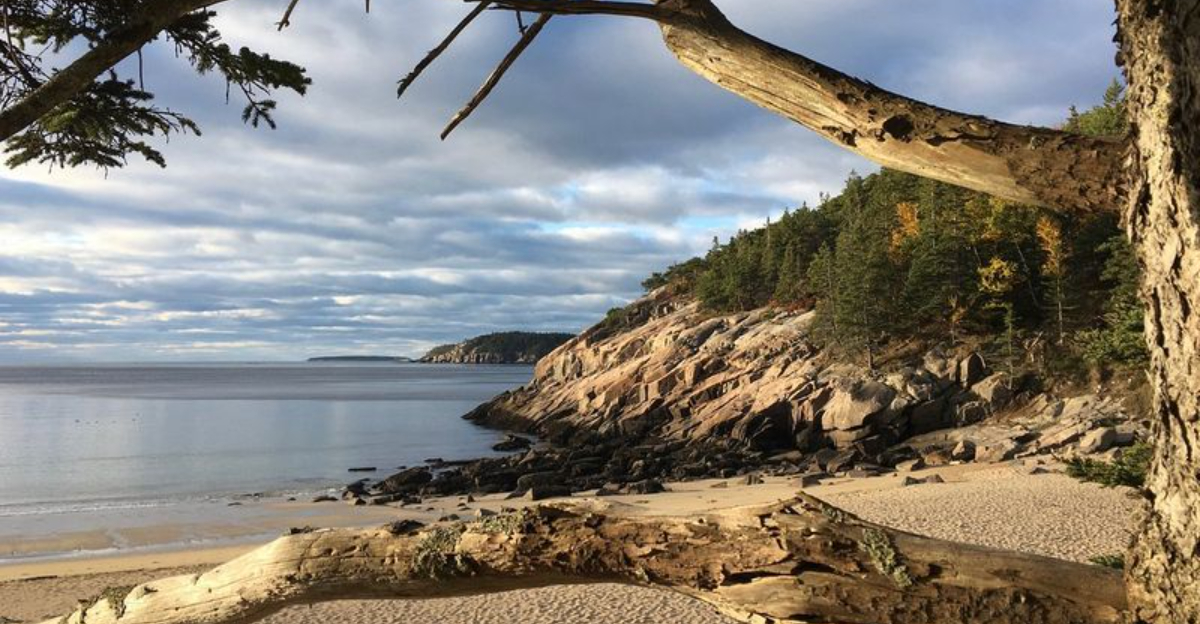 The 12 Best East Coast Beaches From Miami Warmth To Maines Rugged Coast - Decor Hint