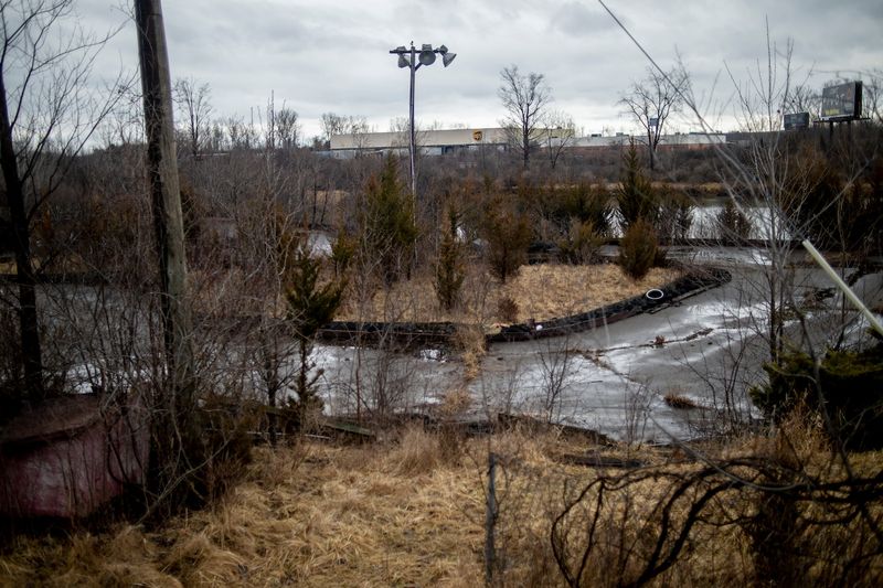 Surprising Details About The Long-Abandoned Pirate's Park In Flint - Decor Hint Nature Slowly Reclaimed the Abandoned Grounds