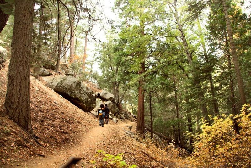 The California Mountain Town Where Retirement Dreams Come True - Decor Hint Scenic Hiking Trails