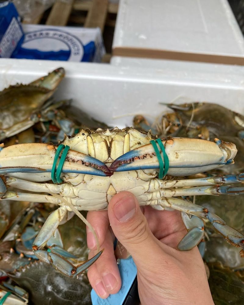 New York Seafood Shacks Only Locals Know For Authentic Seaside Taste - Decor Hint Seamen's Seafood Market