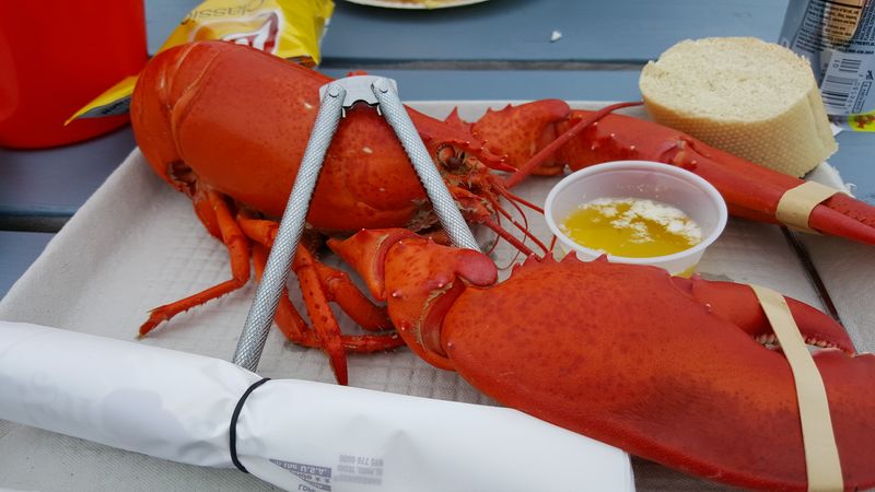 Waterman's Beach Lobster