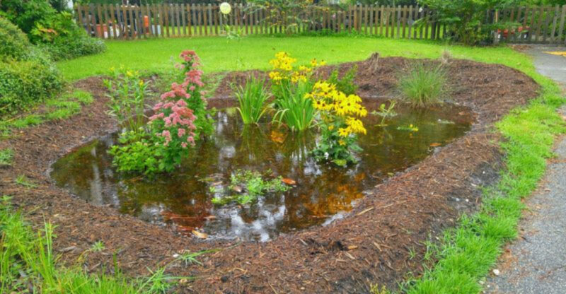 The One Texas Yard Work Mistake Everyone Should Avoid