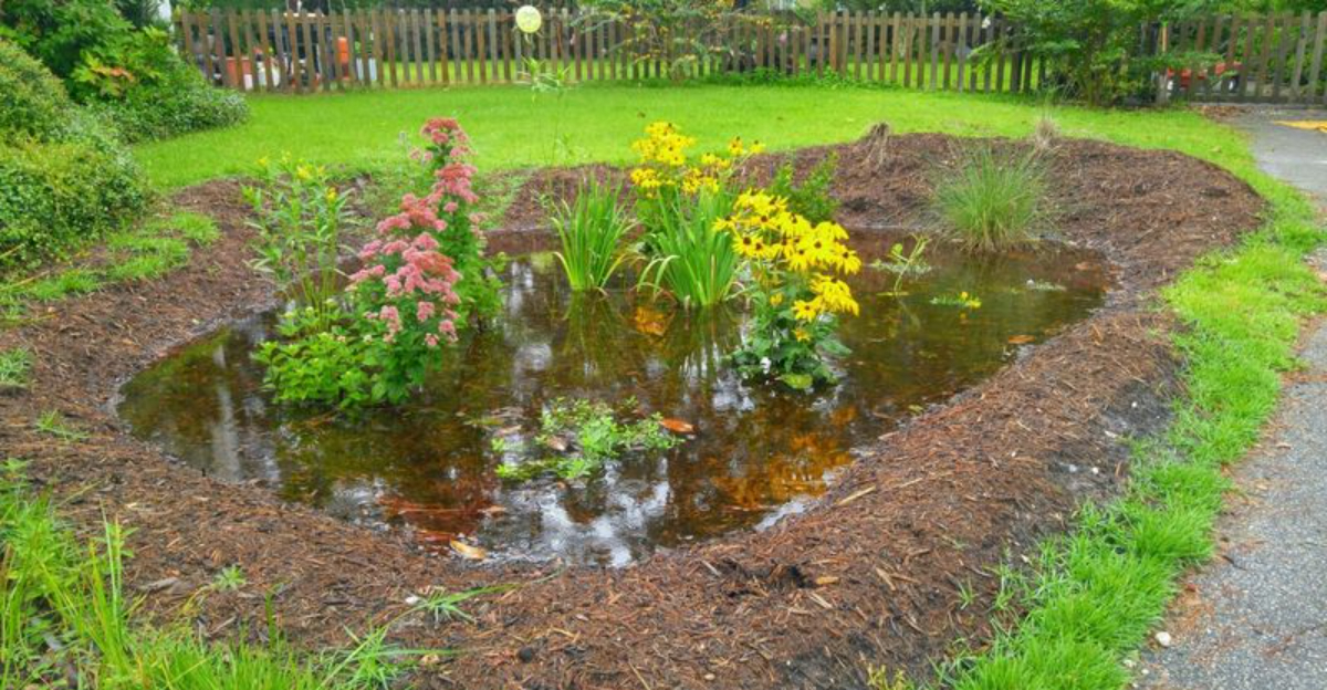 The One Texas Yard Work Mistake Everyone Should Avoid - Decor Hint