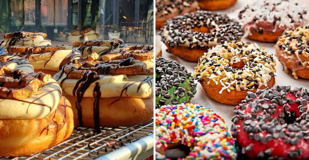 The Ultimate Pennsylvania Donut Trail 10 Beloved Shops Worth The Drive - Decor Hint