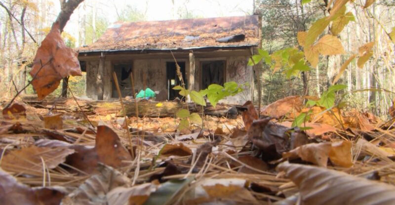 This Forgotten North Carolina Ghost Town Was Once A Bustling Logging Village Lost To Time