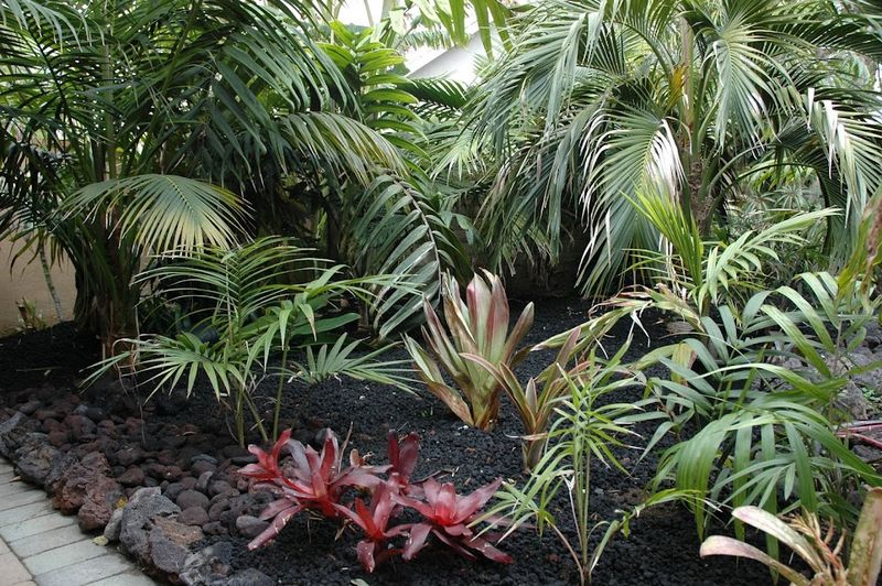 Lava Rock Planters And Retaining Walls