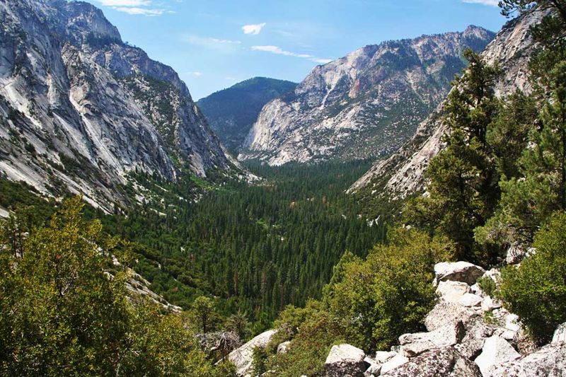 10 Unforgettable Scenic Drives Through California's National Parks - Decor Hint Kings Canyon Scenic Byway