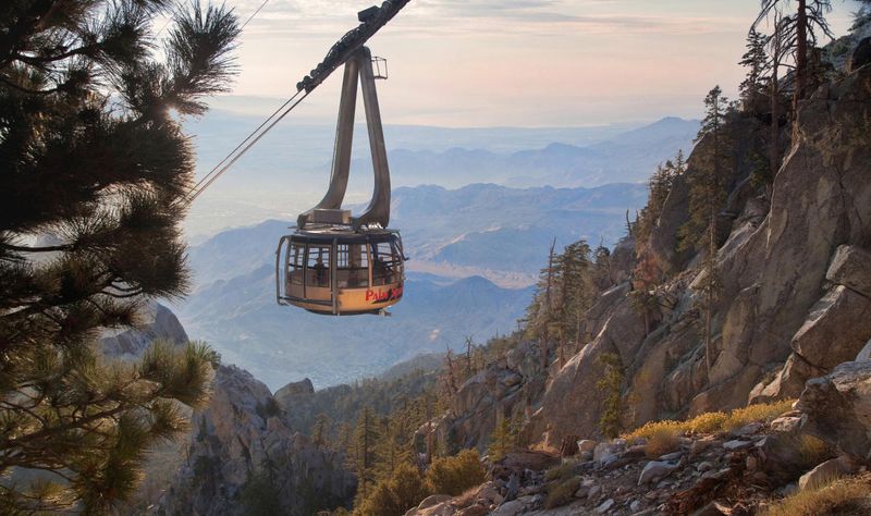 Top Things To Do In Southern California - Decor Hint Palm Springs Aerial Tramway