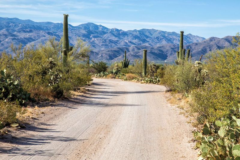 Must-See Arizona Drives To Make Your Thanksgiving Weekend Unforgettable - Decor Hint Tucson Loop