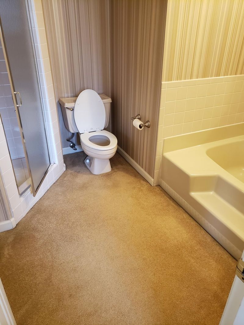 Texas Home Trends That Flopped And Ones Set To Shine - Decor Hint Carpeted Bathrooms