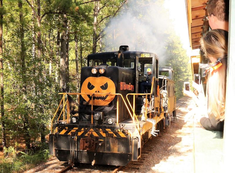 9 North Carolina Train Rides With Beautiful Fall Views - Decor Hint New Hope Valley Railway – Triangle Train