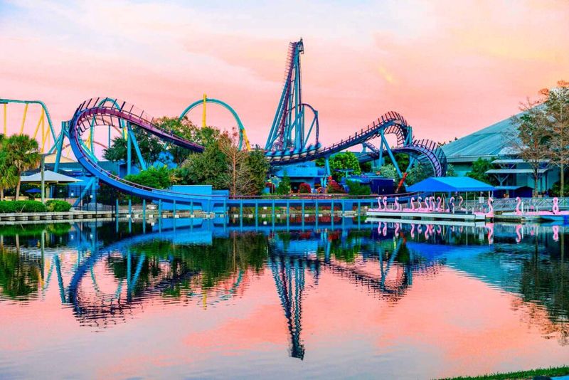 Top Theme Parks In Florida For Adults - Decor Hint SeaWorld Orlando