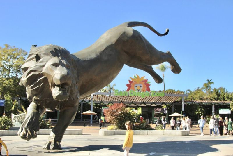 Top Things To Do In Southern California - Decor Hint San Diego Zoo