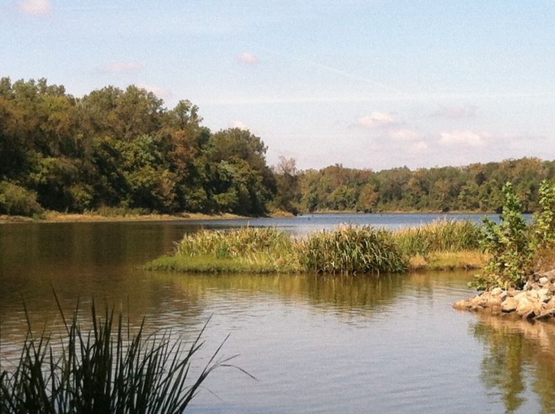 Alabama Lakes So Quiet And Beautiful Only Locals Enjoy Them - Decor Hint Coffeeville Lake