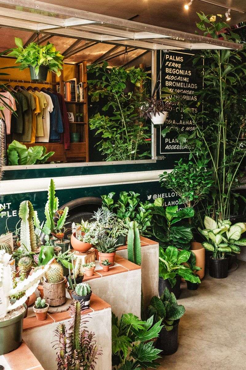 New York Stores Where Locals Find Breezy, Coastal Home Décor - Decor Hint Tula House