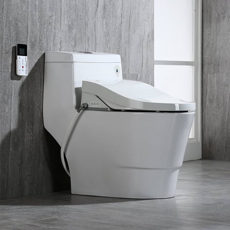 Georgia Bathroom Trends That Cost A Fortune But Add Little Value - Decor Hint High-End Bidet Attachments with Multiple Features