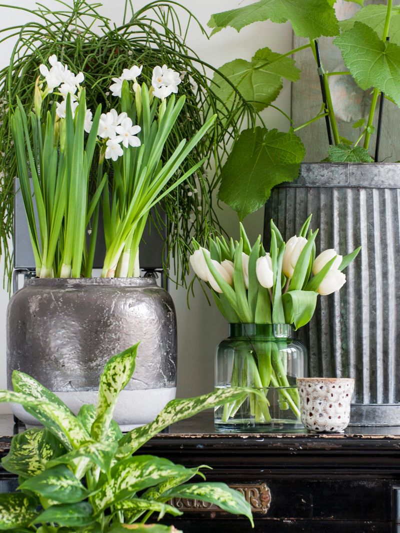 Glass Vases with Moss