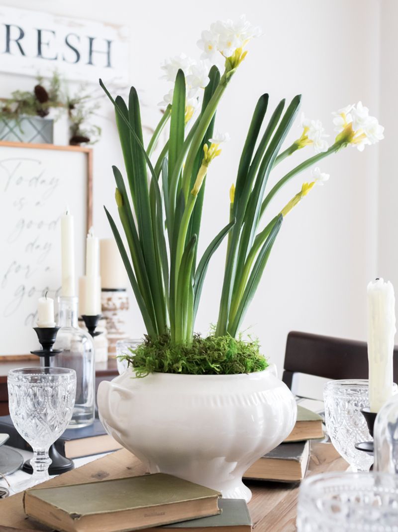 Decorative Urns with Pinecones