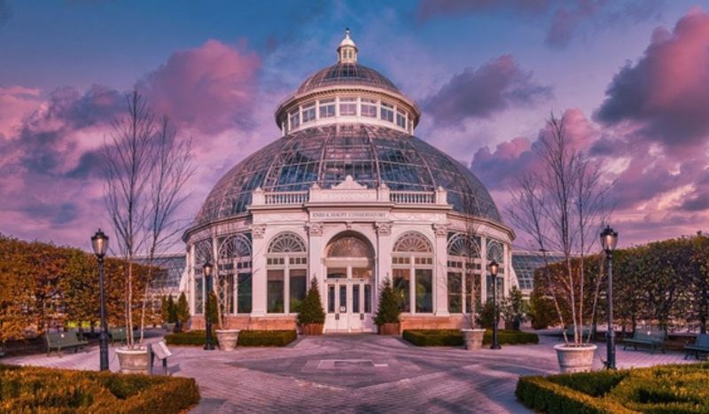Explore the New York Botanical Garden