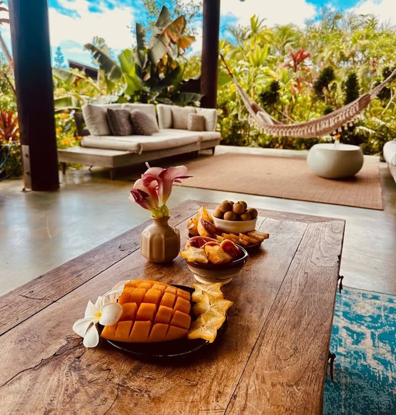 Organic Mango Farm Garden Oasis