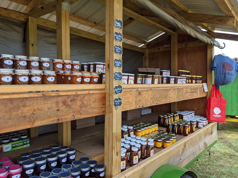 Fresh, Warm, And Sweet: NJ Cider-Donut Stands You'll Love - Decor Hint Eastmont Orchards