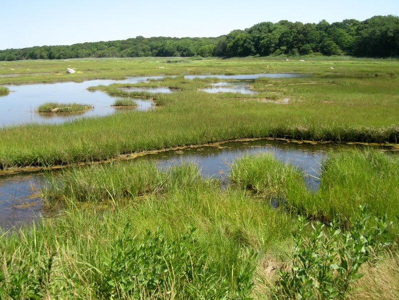 Beautiful Spots That Prove This Connecticut Coastal Town Is A True Hidden Treasure - Decor Hint Barn Island Wildlife Management Area