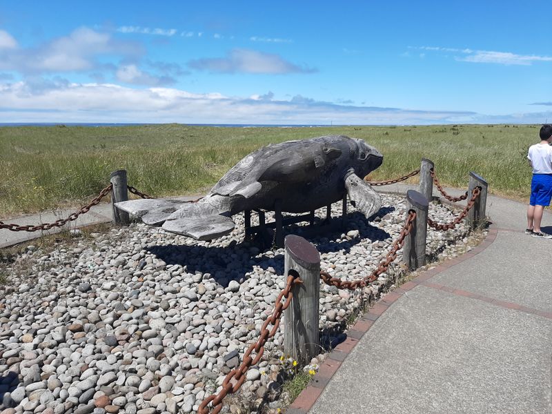 9 Washington Coastal Towns Locals Say Are Packed With Tourists - Decor Hint Long Beach