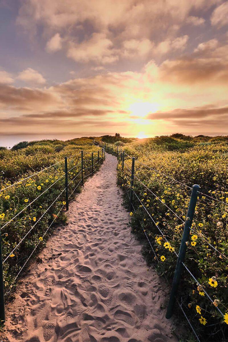 Dana Point Activities Only A California Native Would Recommend - Decor Hint Nature Interpretive Center Discovery