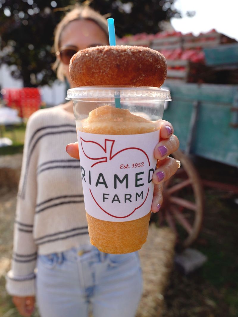 Fresh, Warm, And Sweet: NJ Cider-Donut Stands You'll Love - Decor Hint Riamede Farm
