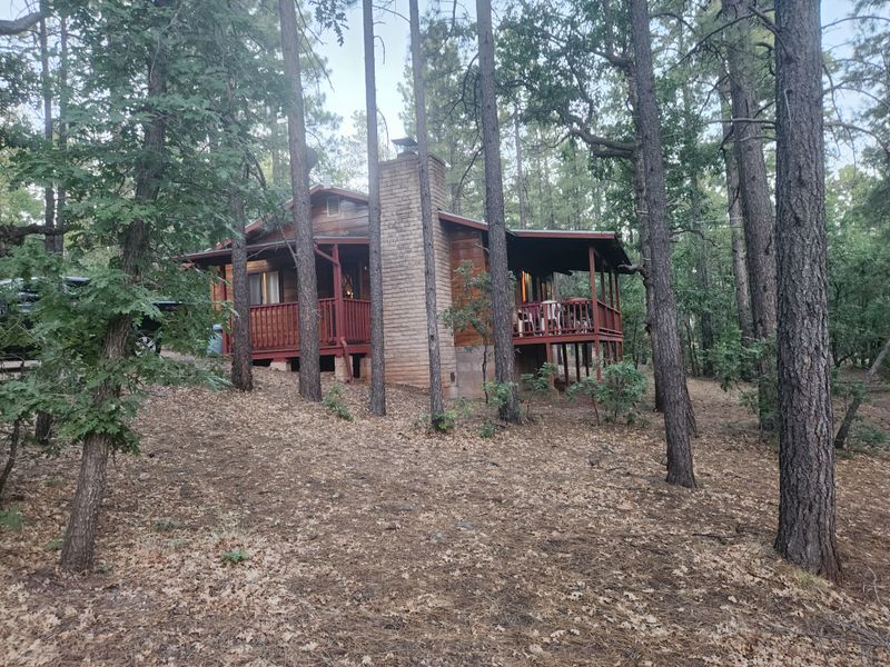 Where Everyone Becomes Family