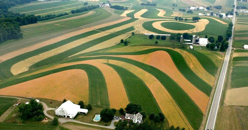 Expansive Quilted Field Patterns