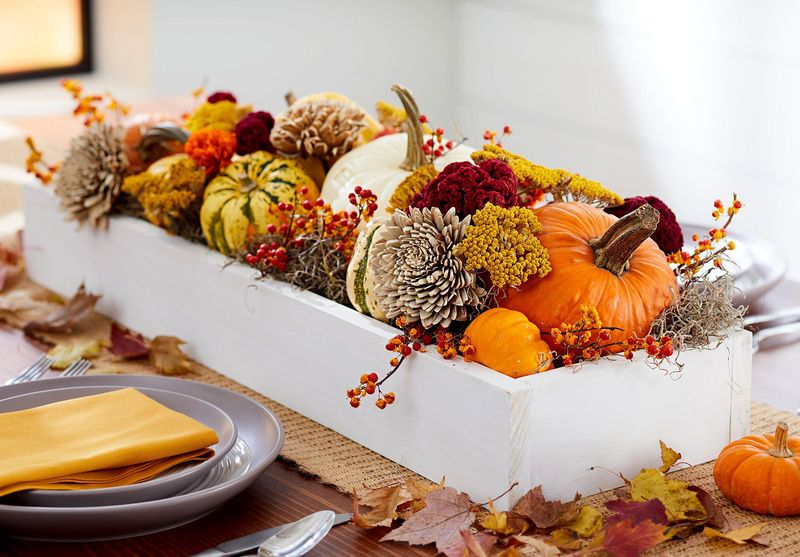 White Dish Filled With Colorful Gourds