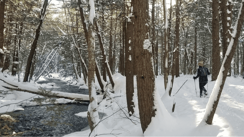 Snow‑Shoe In State Parks