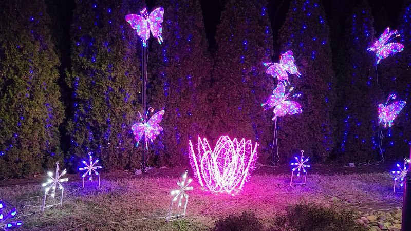 9 Tennessee Light Displays That Show Off The State At Christmas - Decor Hint Winterfest in Pigeon Forge