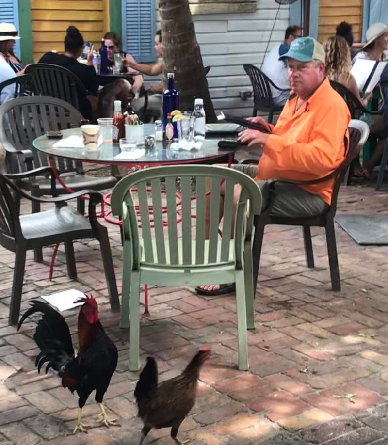 Florida Breakfast Spots So Popular Locals Wait In Long Lines - Decor Hint Blue Heaven
