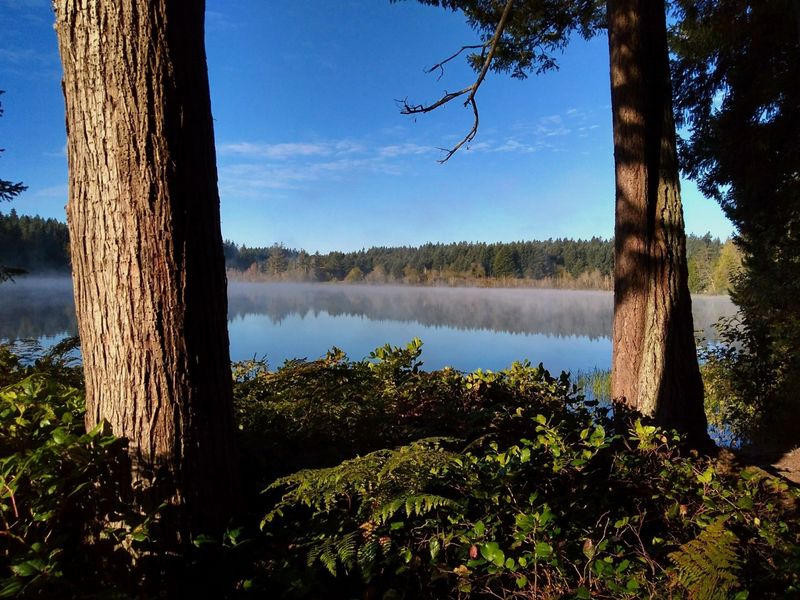 Olympia Experiences That Impress: Nature, Culture, And Hidden Gems To Explore - Decor Hint Millersylvania State Park