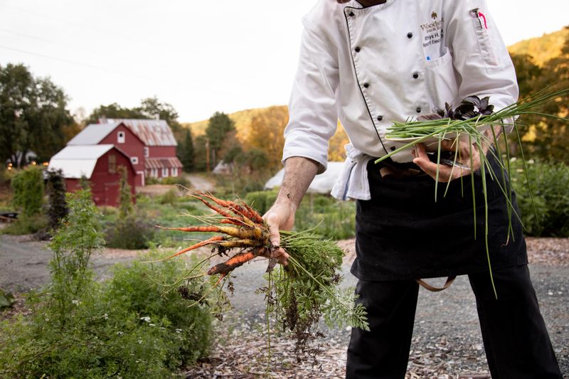 Farm-to-Table Dining That Kids Actually Enjoy