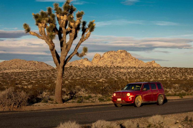 10 Unforgettable Scenic Drives Through California's National Parks - Decor Hint Joshua Tree National Park Scenic Drive