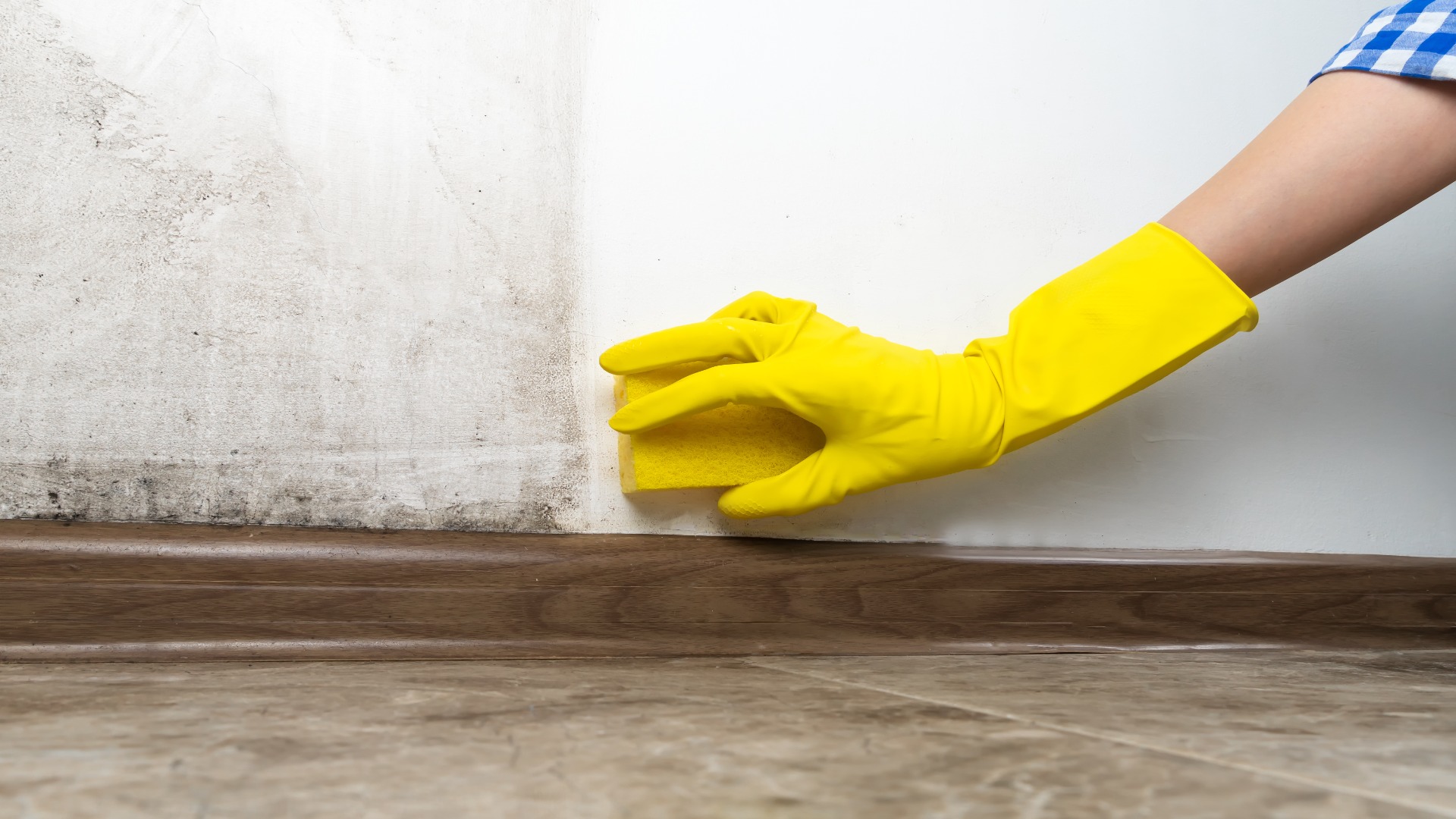 9 Steps For Cleaning Walls Before Painting And Why It May Improve Results - Decor Hint shutterstock 2132975755 resized to 1920x1080 1 - Decor Hint