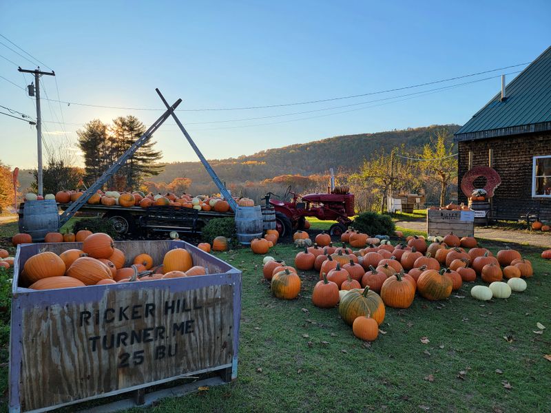 10 Maine Cider-Donut Stands That Make Winter Worth The Trip - Decor Hint Ricker Hill Orchards