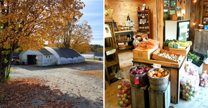 10 Maine Cider-Donut Stands That Make Winter Worth The Trip