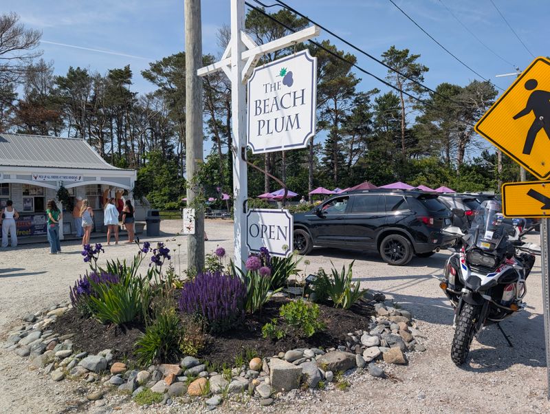 The Beach Plum