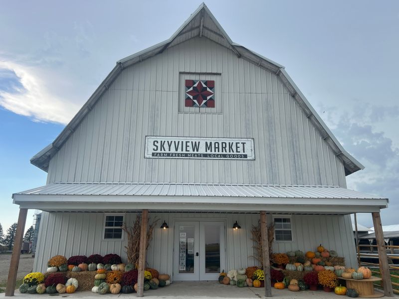 SkyView Market