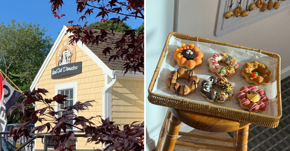 12 Must Visit Donut Shops In Massachusetts That Are Worth The Road Trip - Decor Hint