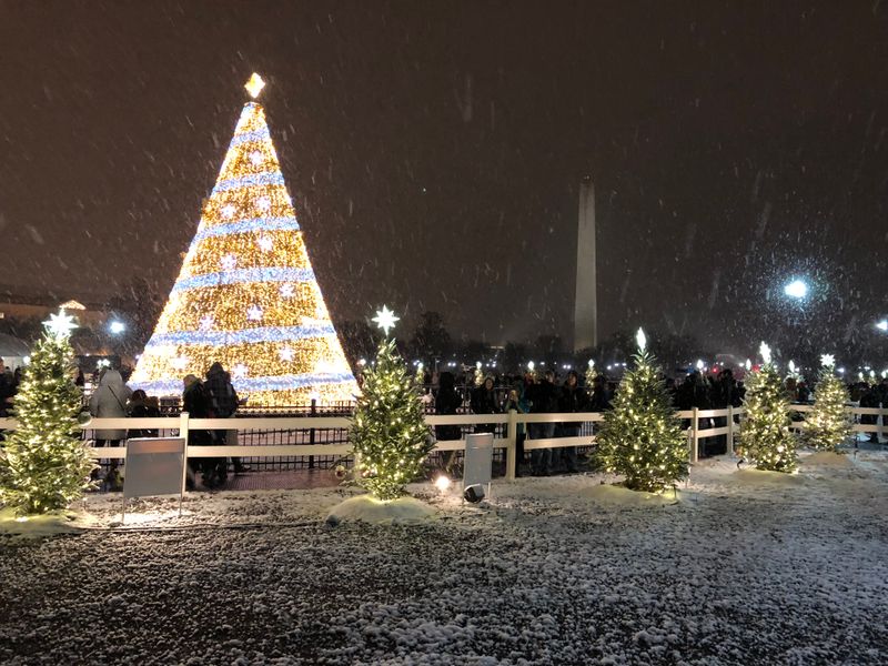 13 Must-Visit Holiday Markets Lighting Up Washington DC This Season - Decor Hint National Christmas Tree