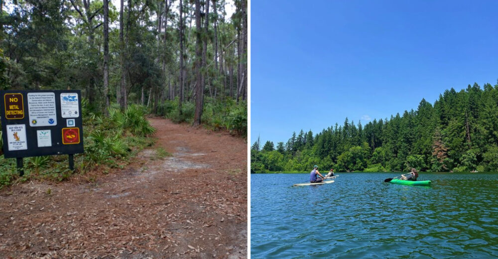 15 Reasons To Visit Dauphin Island Alabama Where Cars Take A Backseat - Decor Hint