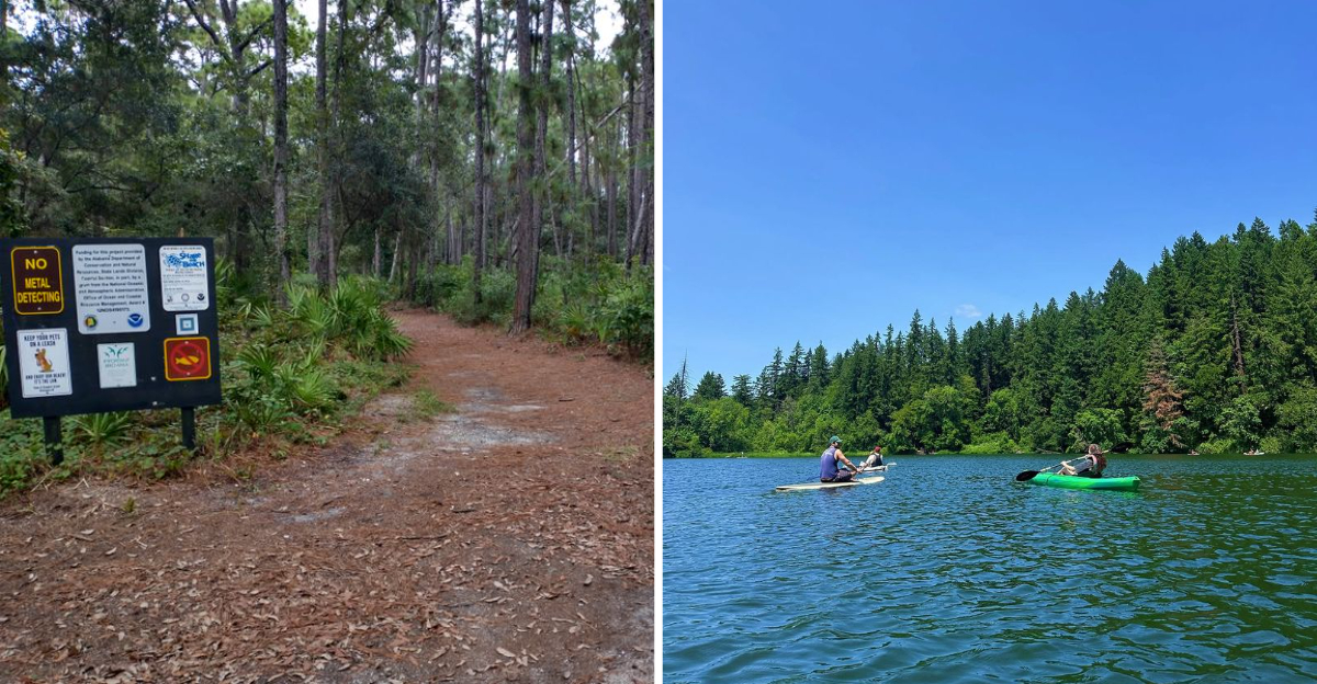 15 Reasons To Visit Dauphin Island Alabama Where Cars Take A Backseat - Decor Hint